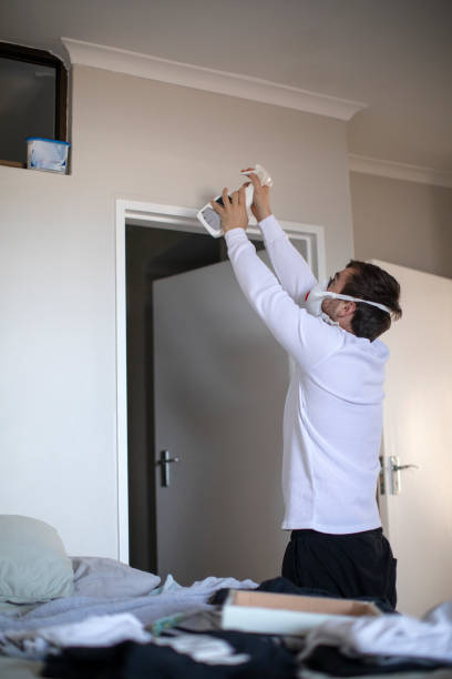 Best Environmental Consulting for Mold Prevention  in Elmwood, IL