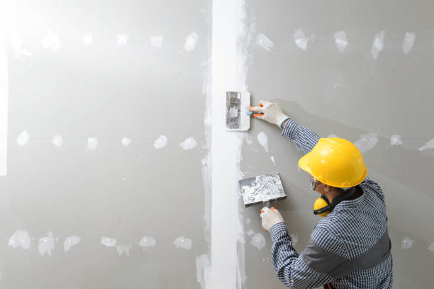 Best Mold Damage Restoration  in Elmwood, IL