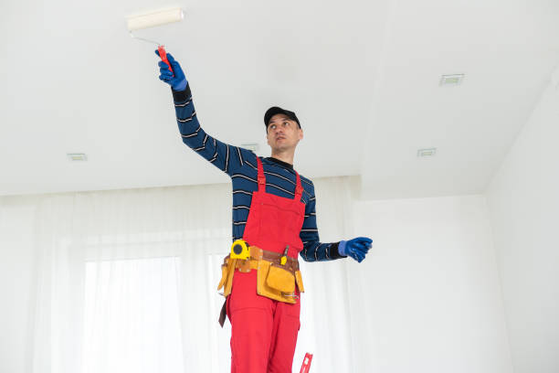 Best Mold Removal for HVAC Installations  in Elmwood, IL