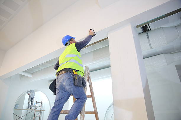 Best Asbestos and Lead Testing During Mold Inspection  in Elmwood, IL