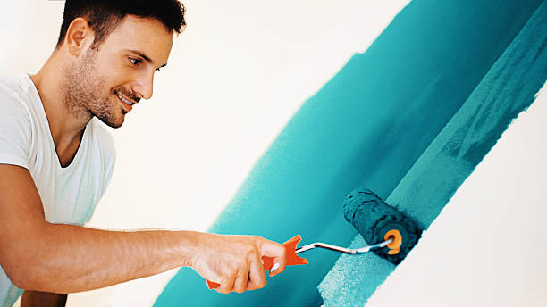 Best Basement Mold Removal  in Elmwood, IL
